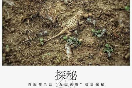 新盗墓笔记:命纹解读与神秘用途探秘