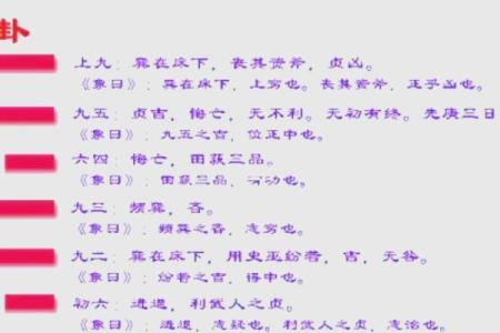 巽命女配什么命男,揭秘最佳搭配与感情秘笈!