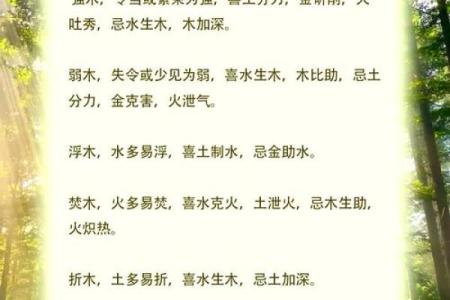 五行缺木的命理解析与生活智慧