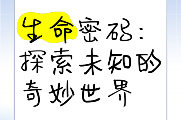 探索命理学的奥秘：揭示人生的神秘密码与智慧