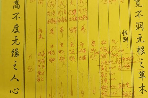 土命命理解析：喜用颜色及其象征意义