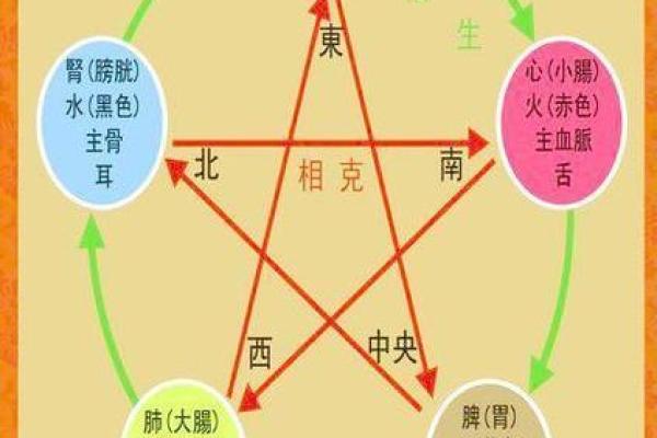 探索太阳火命：哪些命理与你最相合？