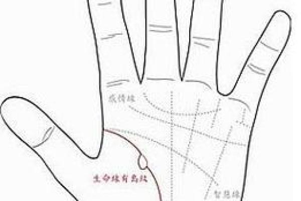 阳历七月五十：独特命理与人生旅程解析