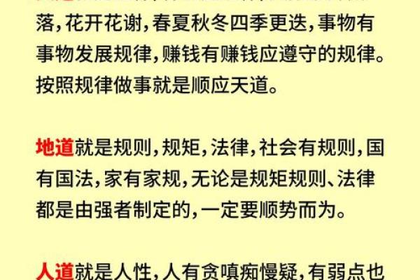 天狗星入命：了解命理中的警示与应对之道