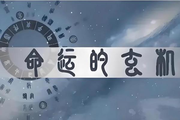 信命与生意：商海浮沉中的命运哲学