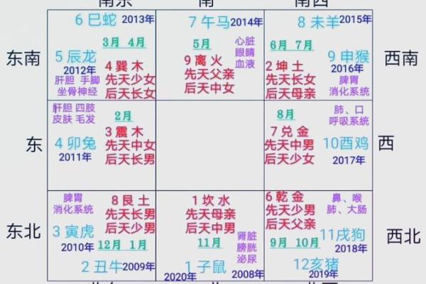 阳历1988年出生的人命运解析：解读命理与人生旅程