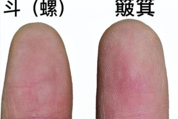 探秘算命之道：如何识别发福之命的奥秘
