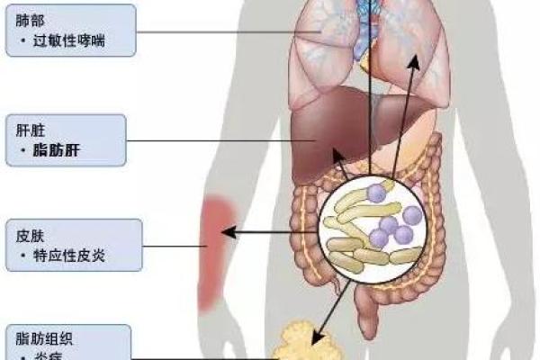 微波炉的隐秘危机：你不知道的健康风险与安全隐患