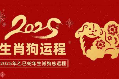 正月出生的狗:五行属什么命,揭示命运之秘!
