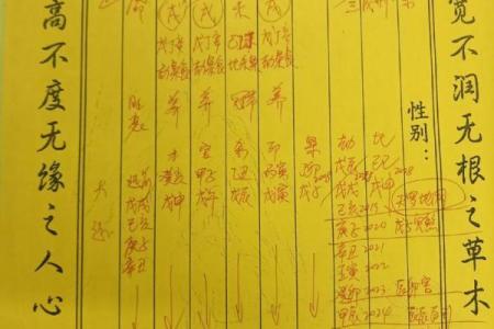 土命命理解析:喜用颜色及其象征意义