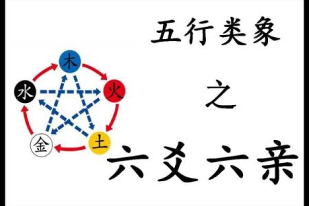 探秘土兔命:五行八字与兔年的神秘关联