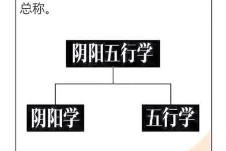 喜欢艺术的八字是什么命?揭秘五行与艺术的奇妙联系