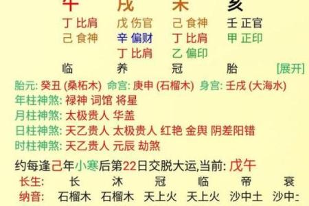 探秘日元丁未女命:独特命格与人生智慧的完美结合