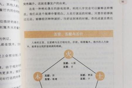 探寻桑拓木命:理解命理与人生的深层联系