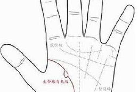 阳历七月五十:独特命理与人生旅程解析