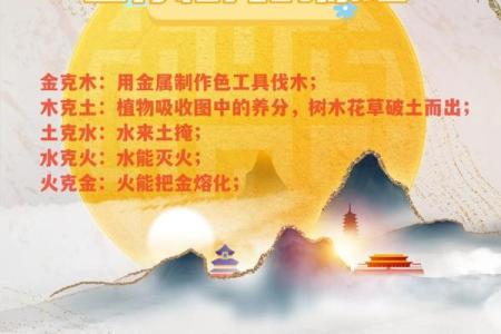 探讨五行八字:木命与火命相克的深层解析