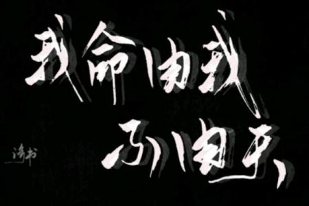 我命由我不尤天:掌握命运的艺术与勇气