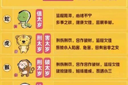 头发又粗又硬的命理解析:你可能不知道的性格与运势真相