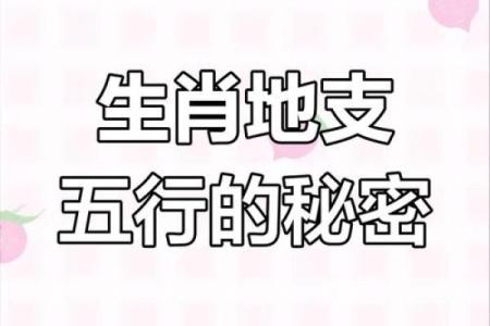 五行与生肖——揭秘2016年属相命理的奥秘