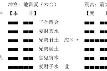 乙卯年男命解析:贵人命的奥秘与影响探讨