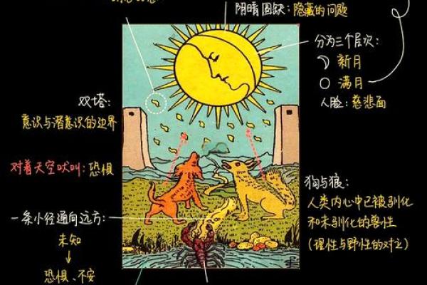 月亮照耀下的老虎命：命理与自然的奇妙交融