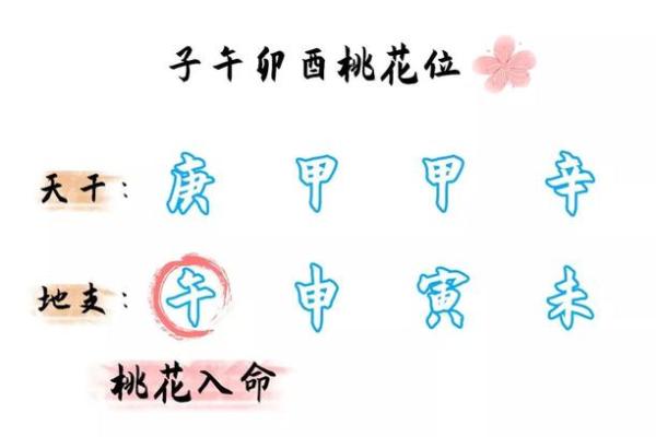 探秘桃花入命：命理中的桃花运与人生转折