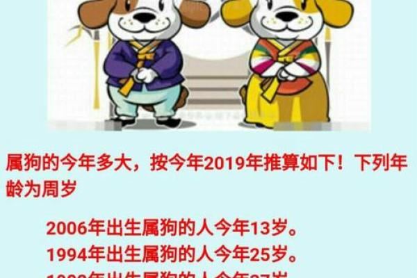 探寻壬戌年狗的命格：生肖背后的秘密与启示