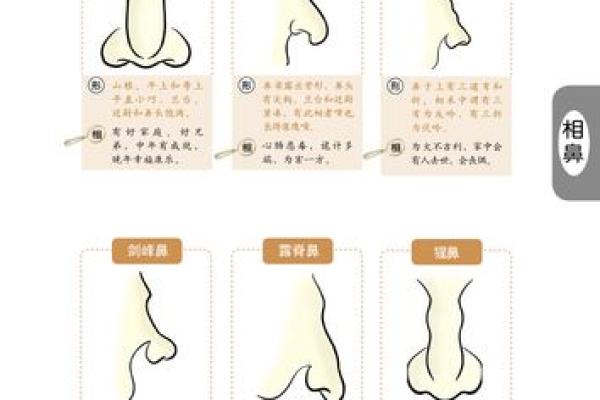 蒜头鼻的命理解析：如何解读你的个性与命运