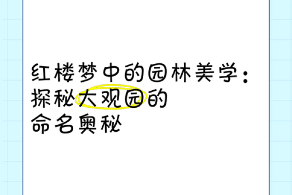 探秘命名的奥秘：事物名称背后的故事与文化印记