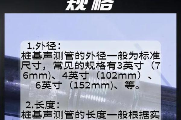 探寻声音的奥秘：声音与生命的深刻关系