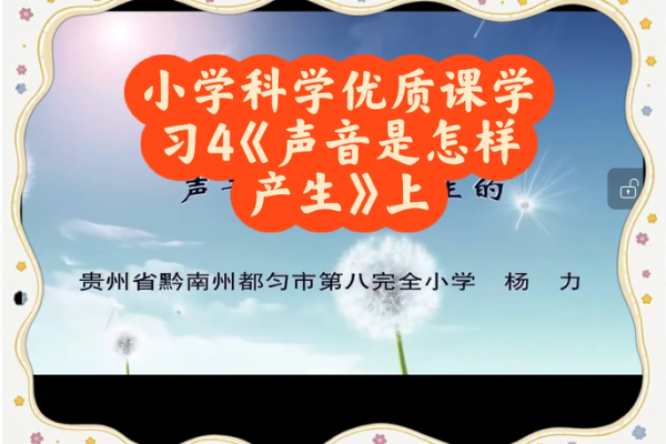 探寻声音的奥秘：声音与生命的深刻关系