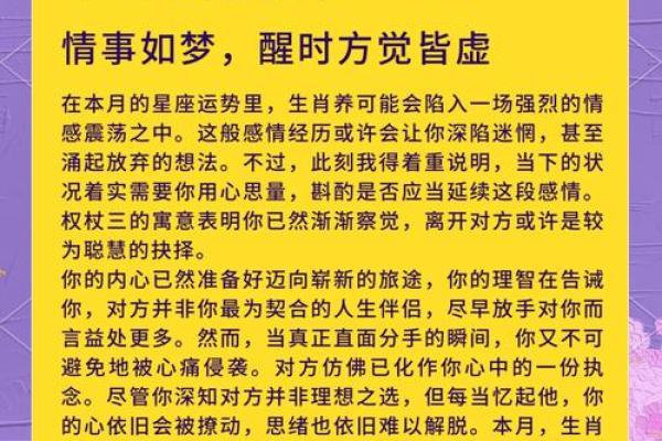 羊年出生的人命运解析：探索羊的生活哲学与性格特征