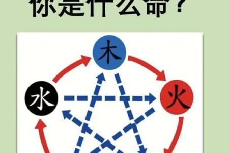 探索金命、火命与水命:揭示命理背后的智慧与哲理