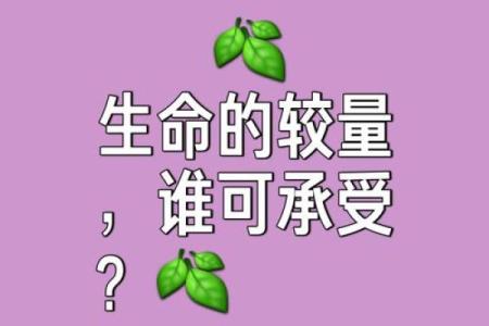有劳碌命还有什么命:探寻生活的另一种意义与可能