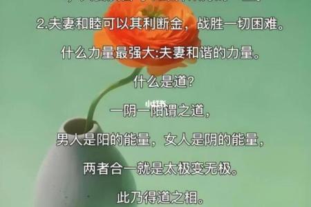 先天命与后天命:解读人生的两种命运智慧