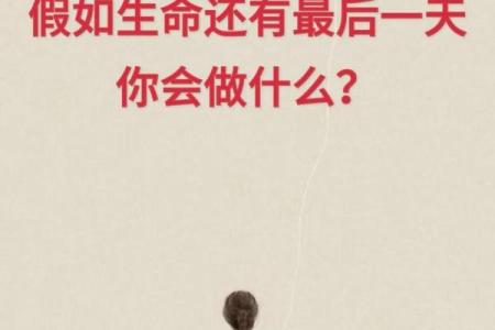 只剩下一天,我会如何充分利用时间?