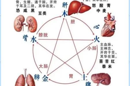 育婴师行业五行相生相克，助您找到合适的职业命理之道！