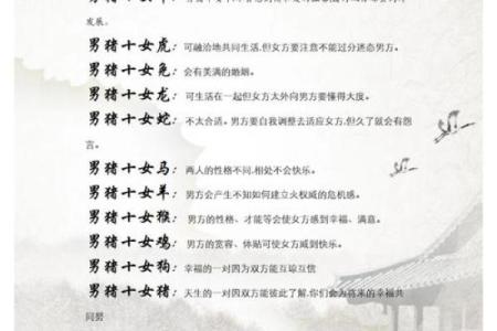 探索一九四九年属猪人的命运与性格特点