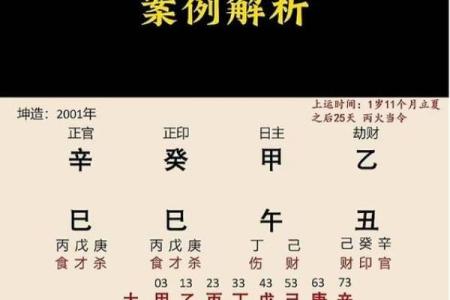 阳气旺盛与命理解析:如何辨别命运的强弱?