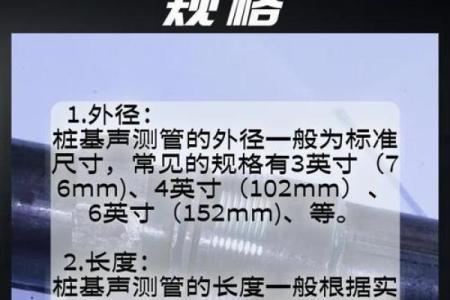 探寻声音的奥秘:声音与生命的深刻关系