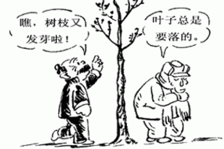 未时与申时命运的决定性差异及其启示