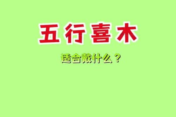 喜木的命运起运：探索命理与人生的交织之路