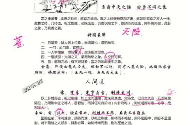 天要配命的深刻寓意与人生哲学探究