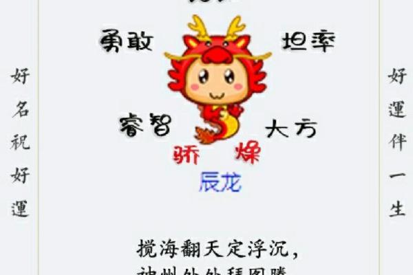 探秘土命与水命生肖：如何影响你的性格与命运？