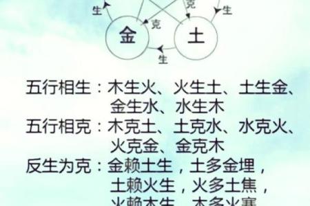土命人士如何与属相相生,实现人生和谐与好运