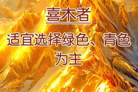 喜木的命运起运:探索命理与人生的交织之路