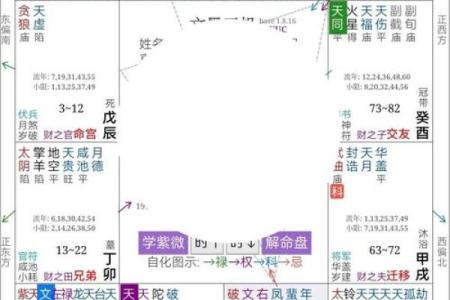 正月出生的命格解析:探寻神秘的命理之旅