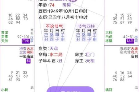 阴土命的人适合开什么车?详解适配车型与紫微命理