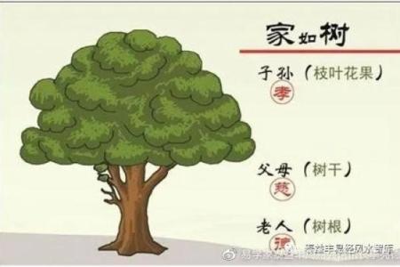 长相与运势:牵动命运的外貌密码探秘