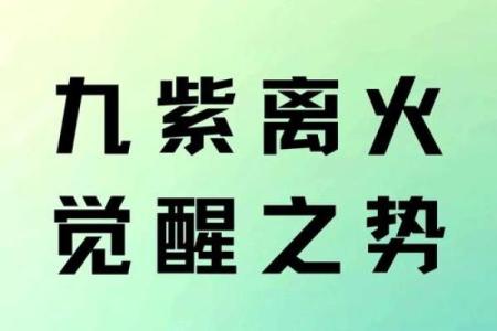 天上火命家庭布置:提升运势的理想摆设指南
